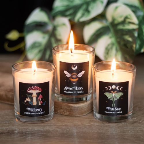 Enchanting Forest candles collection featuring Wildberry, Sweet Honey, and White Sage votives with intricate designs