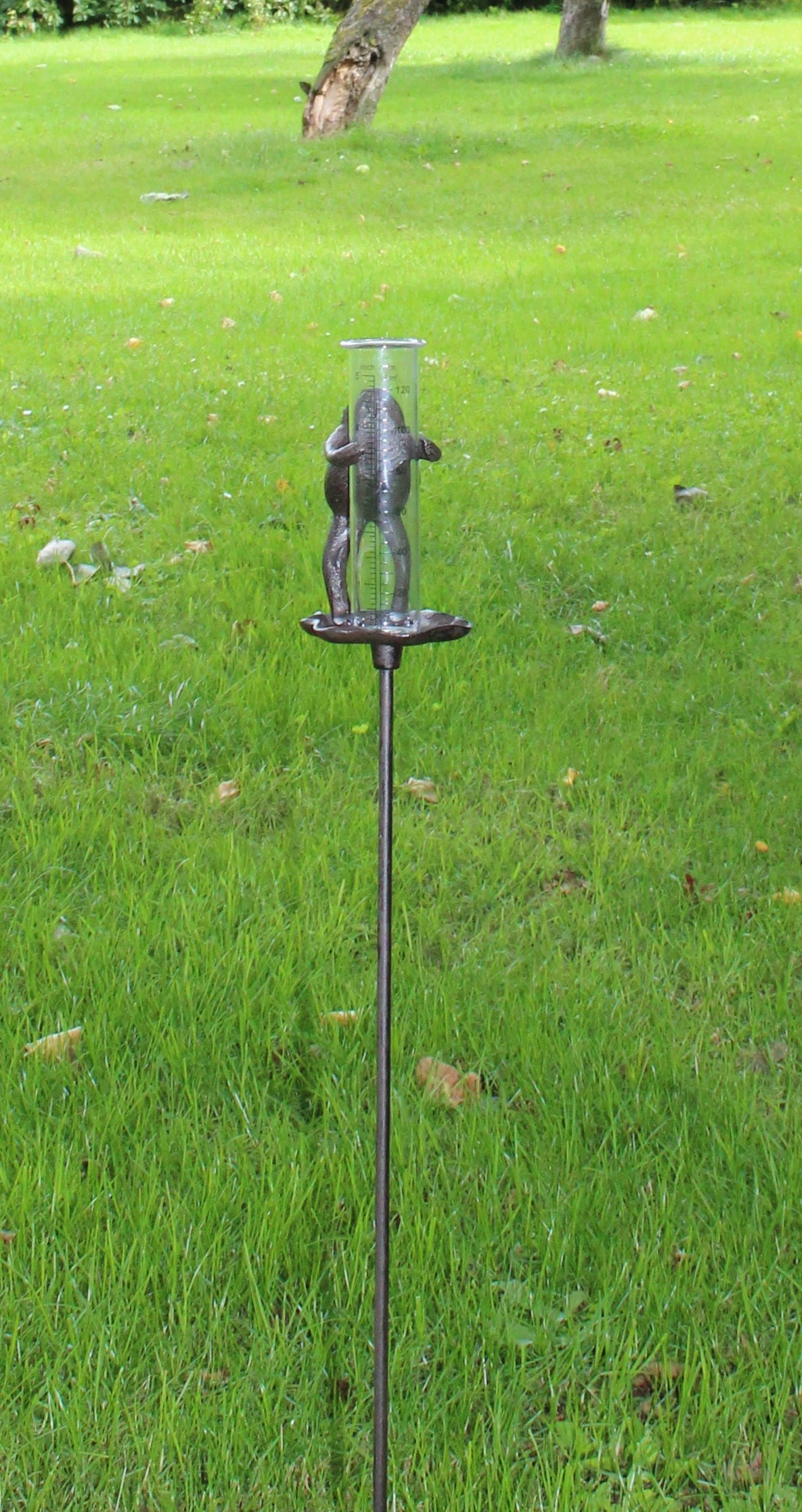 Geko Products cast iron garden rain gauge with frog design on metal stake in green lawn