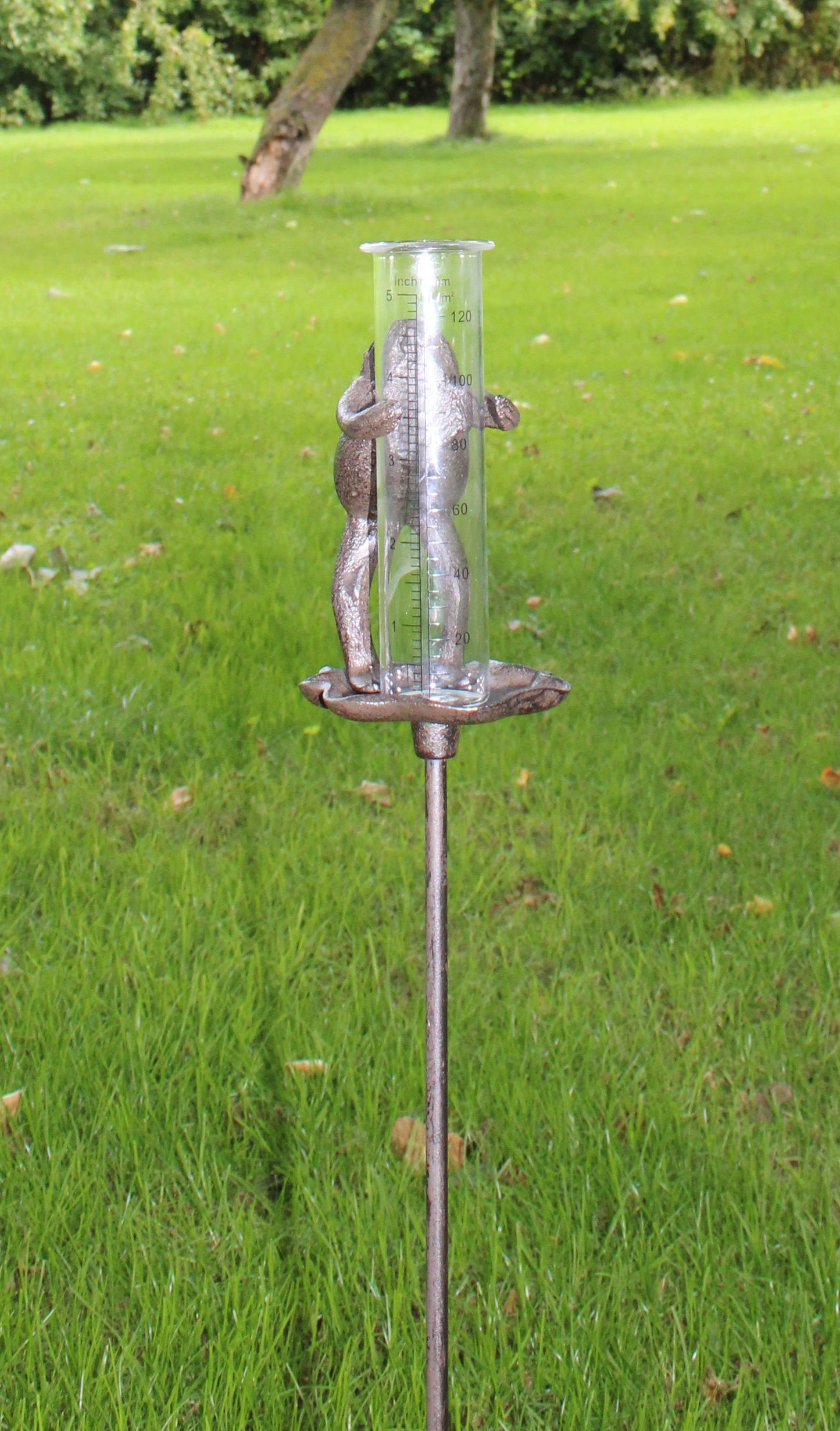 Geko Products cast iron garden rain gauge with frog design and clear measuring tube on stake in grass