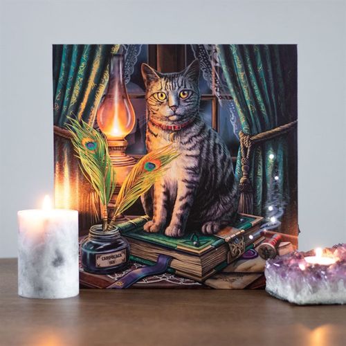 Book of Shadows Light Up Canvas Plaque featuring a cat with witchy home decor ideas