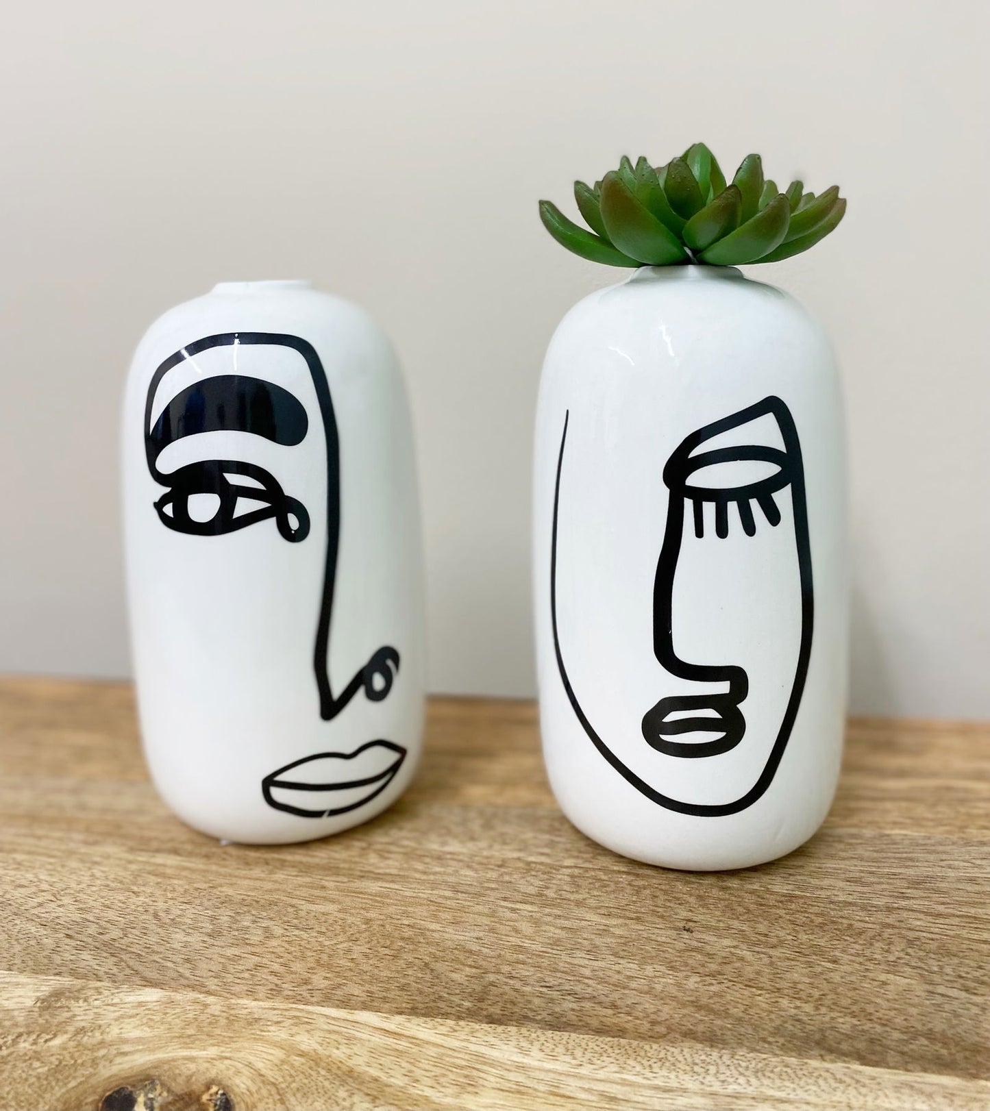 Geko Products ceramic vases with face design in black line art on white surface, one holding a green succulent