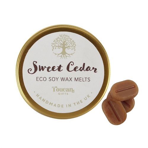 Tree of Life wax warmer gift set with Sweet Cedar eco soy wax melts in a decorative tin