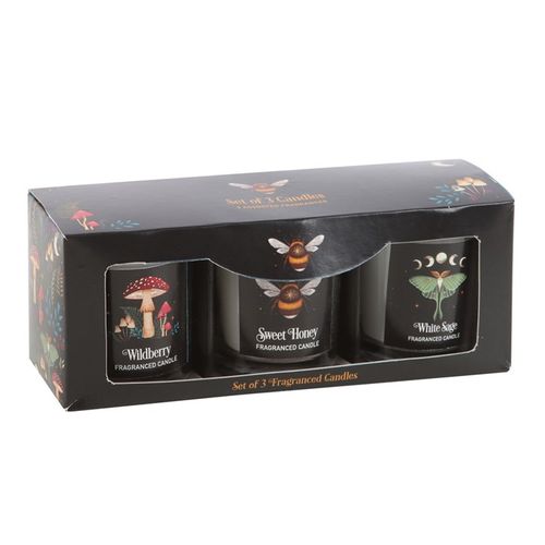 Enchanting Forest candles collection featuring Wildberry, Sweet Honey, and White Sage in decorative boxes for a soothing ambiance