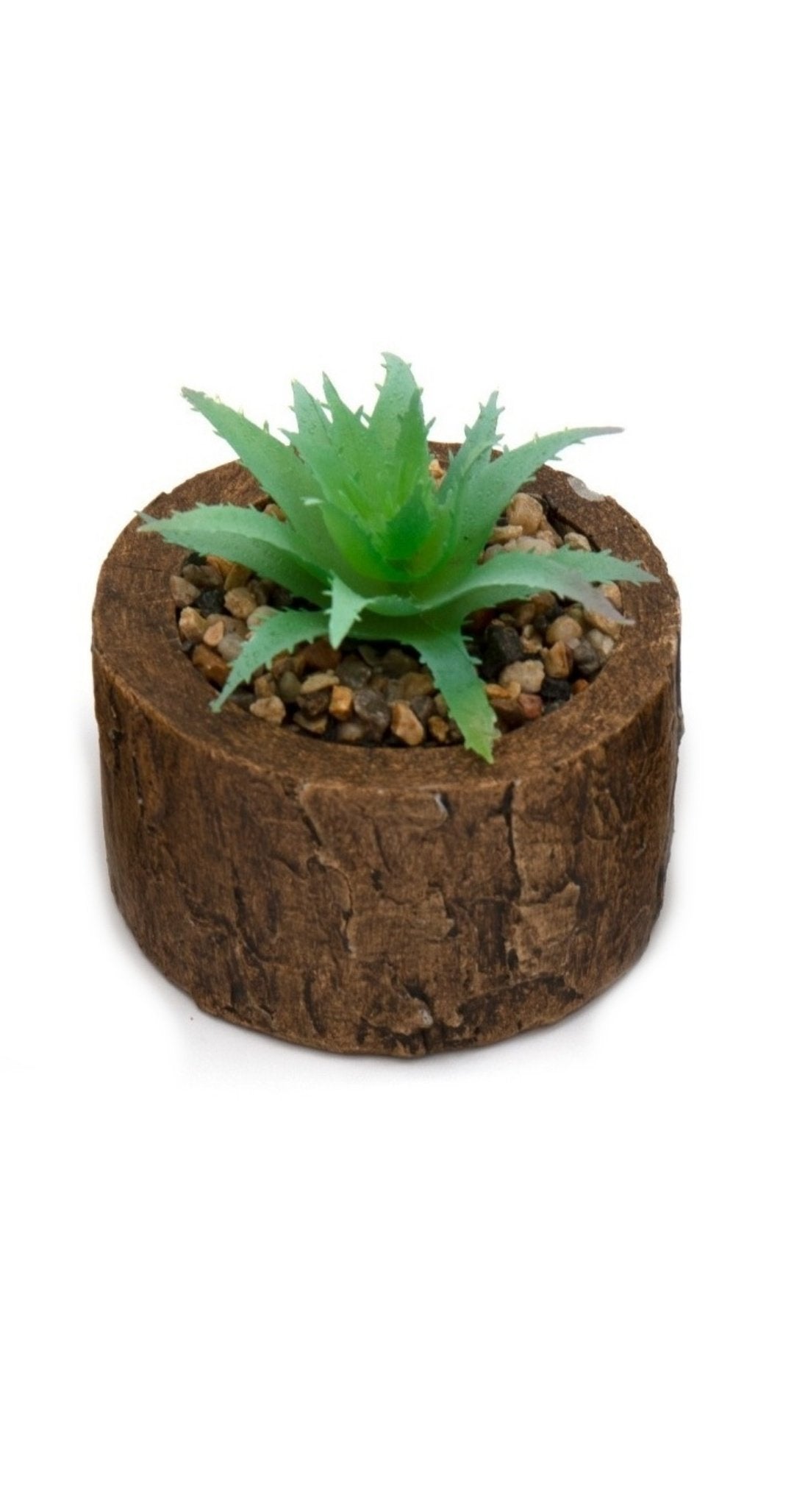 Bark effect succulent pot by Geko Products with green succulent plant and decorative stones