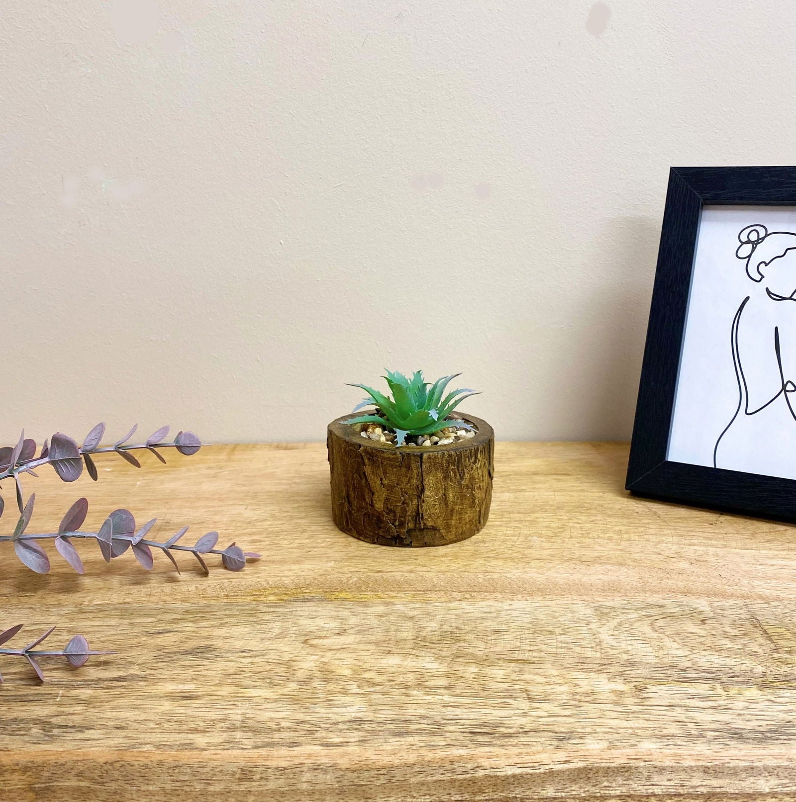 Small green succulent in a natural bark effect succulent pot by Geko Products on wooden surface