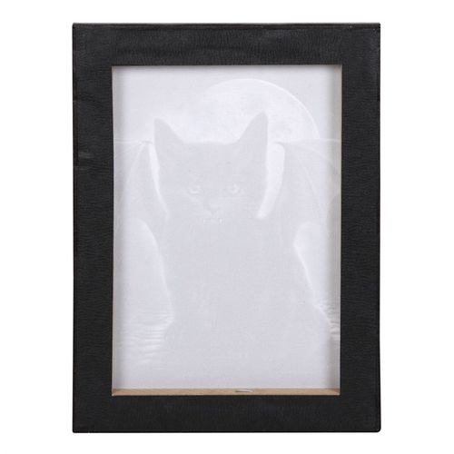 Bat Cat canvas art featuring a black cat with bat wings, perfect for unique wall decor