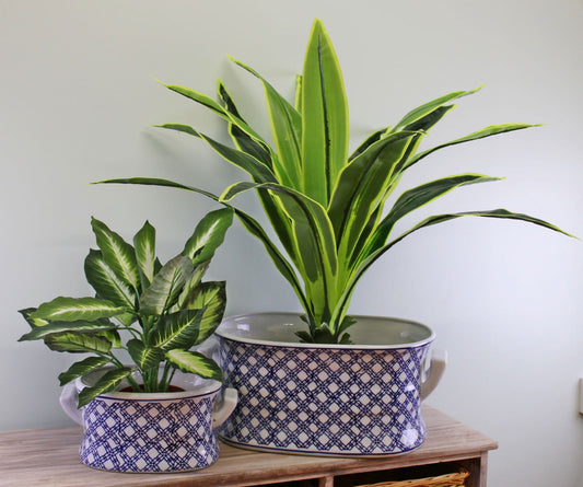 Geko Products ceramic footbath planters set with blue plaid design holding green leafy plants on wooden surface