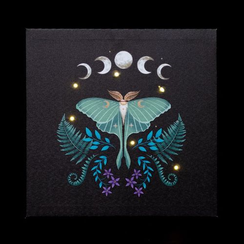 Light up luna moth wall art featuring a luminous design with a moth and phases of the moon