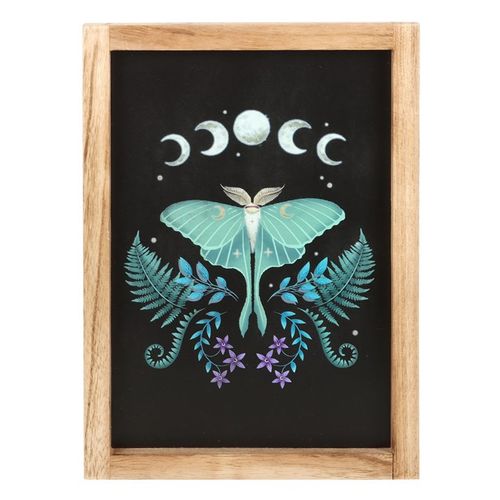 Luna moth wall art displayed in a wooden frame featuring a moth and celestial elements