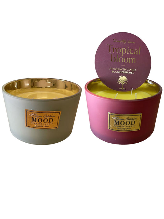 Geko Products 3 wick scented candle set with tropical bloom fragrance in decorative containers