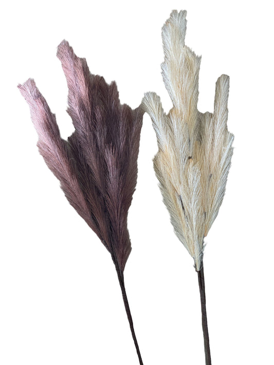 Luxury brown cream pampas stem set with textured feathery plumes for elegant home decor