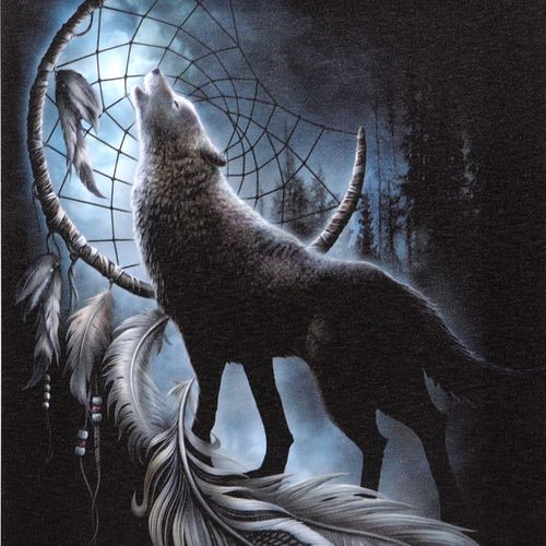 19x25cm From Darkness Canvas Plaque featuring wolf dreamcatcher canvas art by Spiral Direct